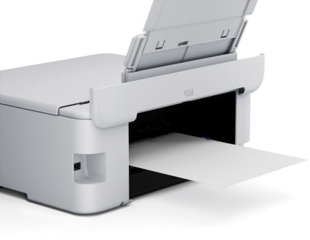 1561908_v09_b 13_01_2025 13_19_31.jpg